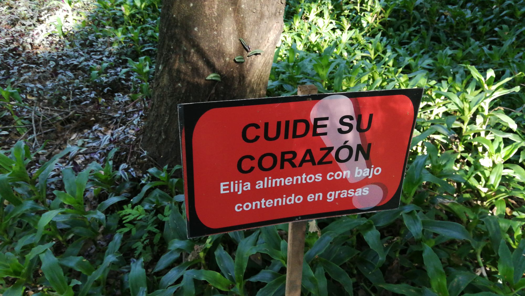 Parque de la Salud 现场照片 17