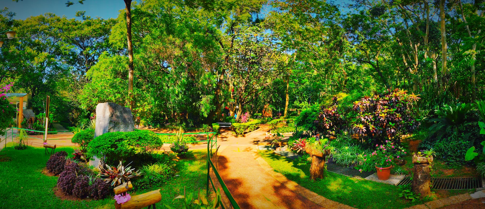 Parque de la Salud 现场照片 22
