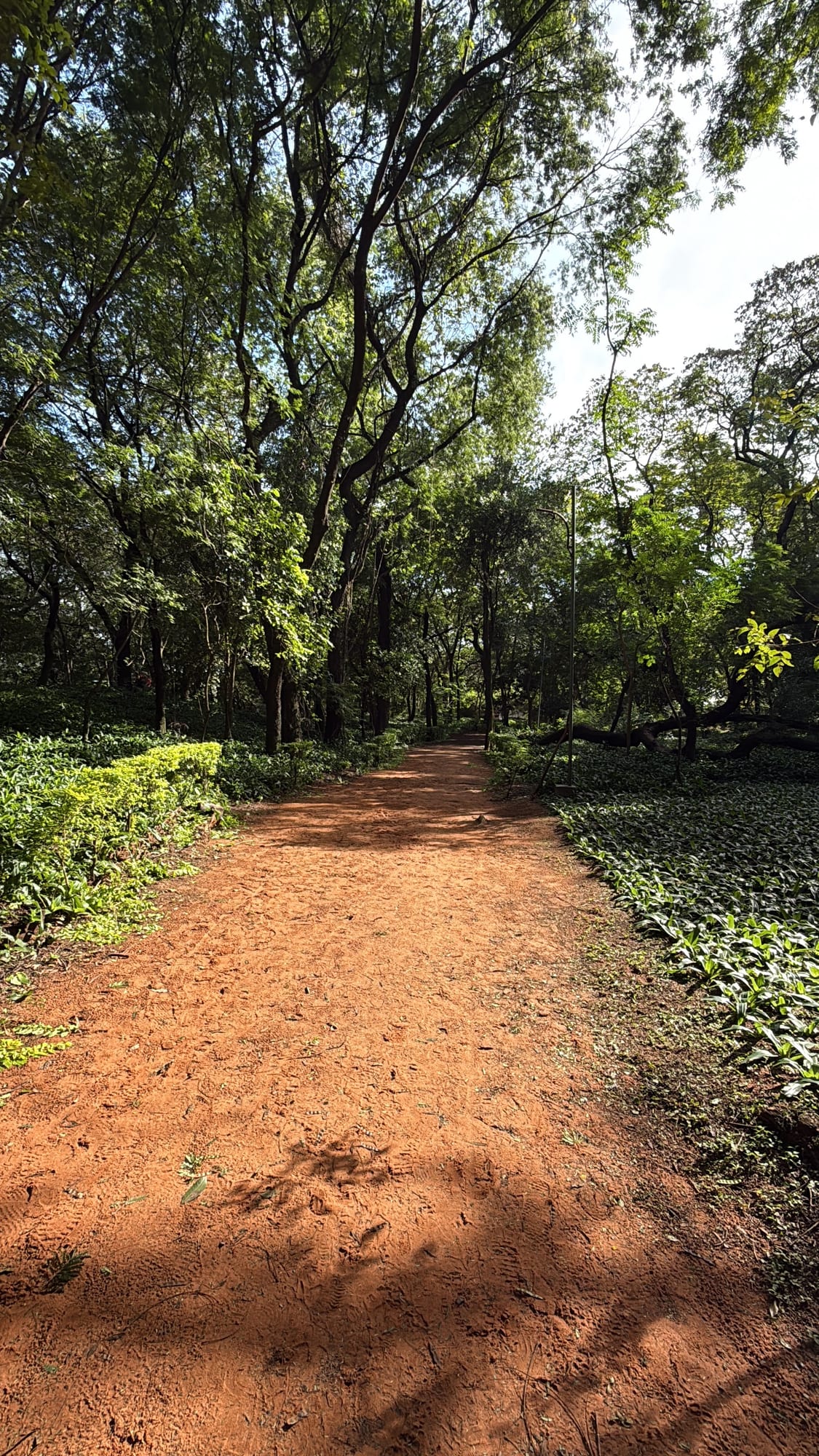 Parque de la Salud 现场照片 5