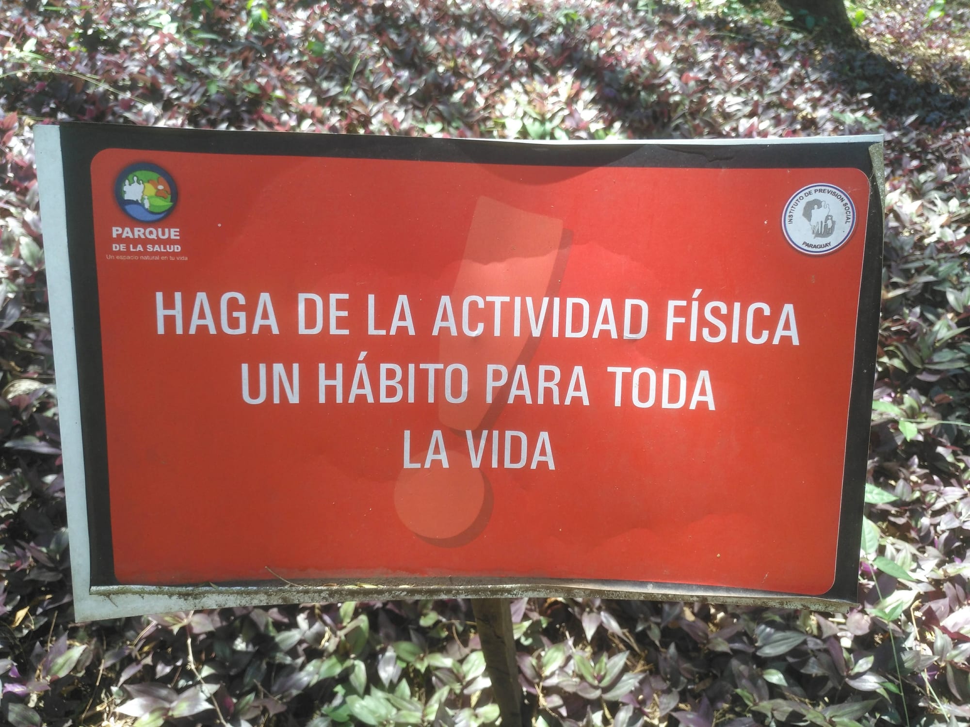 Parque de la Salud 现场照片 9